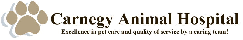 Logo for Carnegy Animal Hospital | Veterinarian in Halifax, Nova Scotia