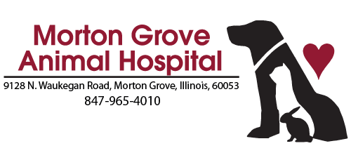 Logo for Morton Grove Animal Hospital