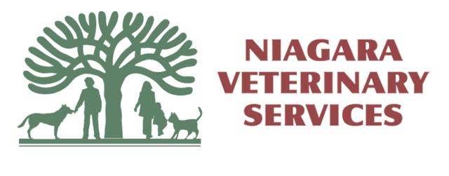 Logo for Niagara Falls, ON Veterinarian Animal Clinic | Niagara Veterinary Services
