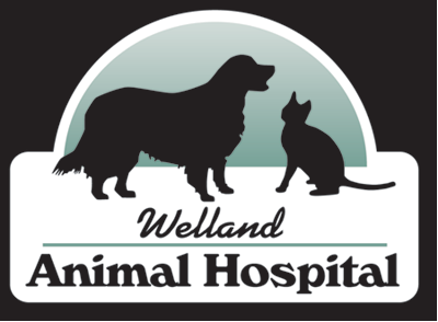 Logo for Welland Animal Hospital in Welland, ON