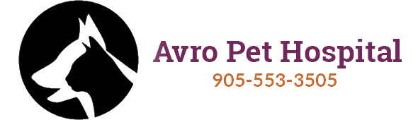 Logo for Veterinarians in Vaughan | Avro Pet Hospital