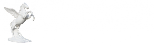 Beaches Animal Clinic