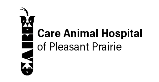 Care Animal Hospital