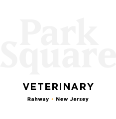 Park Square Vet