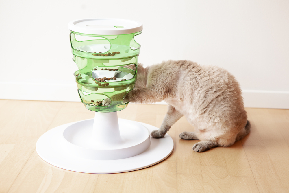 a cat playing with an interactive feeder to get food out