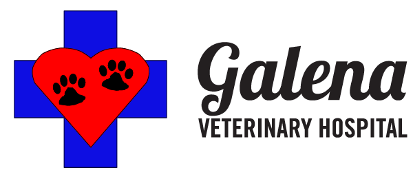 Logo for Galena Veterinary Hospital I Reno, NV