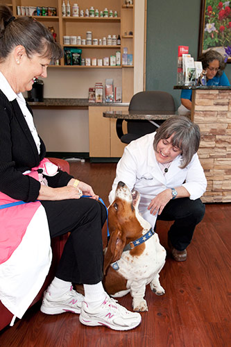 Veterinarian petting the dog at reception area