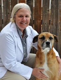 veterinarian next to a dog