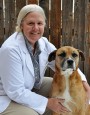 veterinarian next to a dog