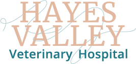 Hayes Valley Veterinary Hospital