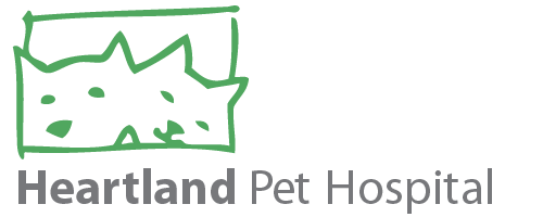 Beatrice Heartland Pet Hospital Mississauga Ontario