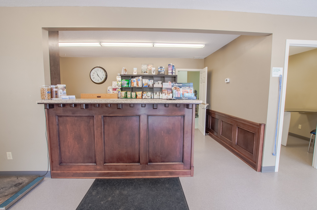 Our Veterinary Health Care Team | Veterinarians High River | High River