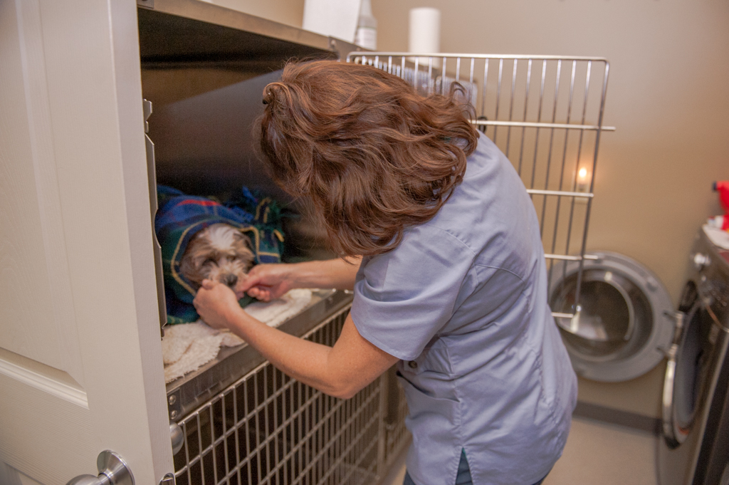 Our Veterinary Health Care Team | Veterinarians High River | High River