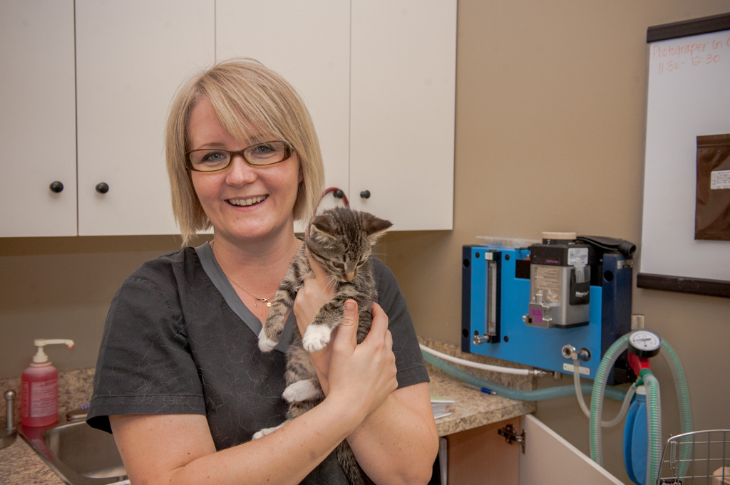 Our Veterinary Health Care Team | Veterinarians High River | High River