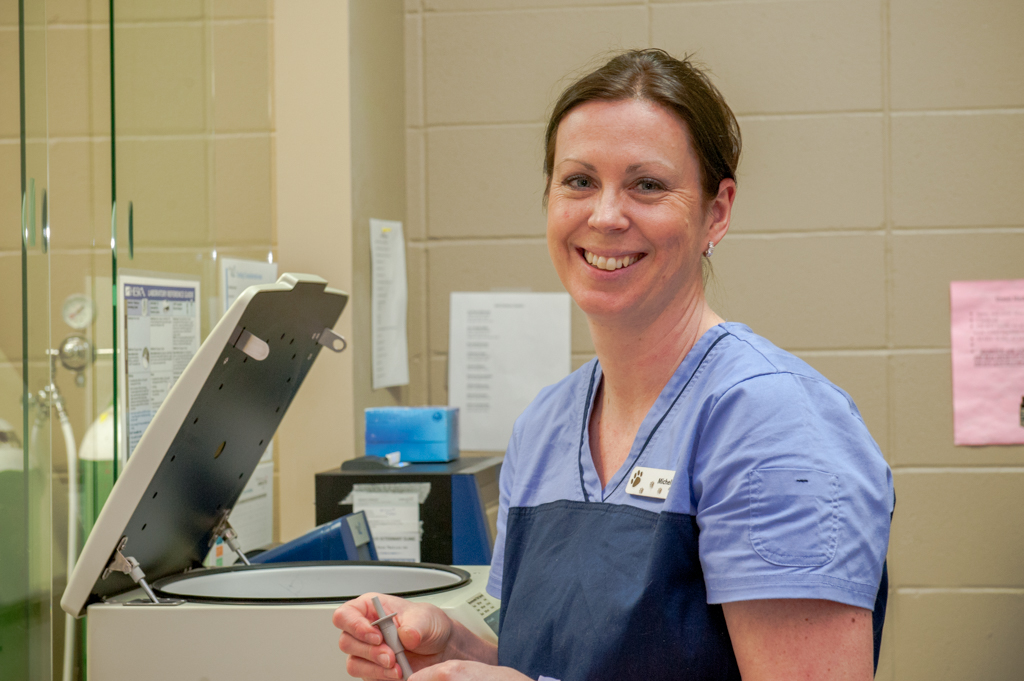 Our Veterinary Health Care Team | Veterinarians High River | High River