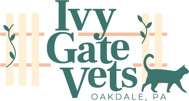 Ivy Gate Vets