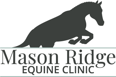 Mason Ridge Equine Clinic