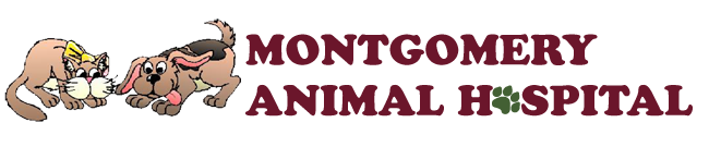 Logo for Montgomery, AL Veterinarian Animal Clinic | Montgomery Animal Hospital