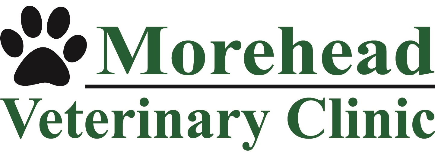 Morehead Veterinary Clinic