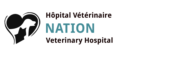 Logo for Veterinarians Casselman | Nation Veterinary Hospital