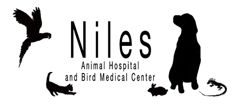 Niles Animal Hospital