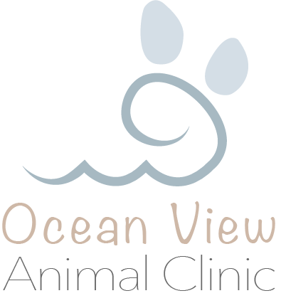 Ocean View Animal Clinic