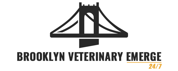 Brooklyn Veterinary Emerge