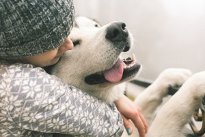 Image of young girl with her dog, alaskan malamute, outdoor