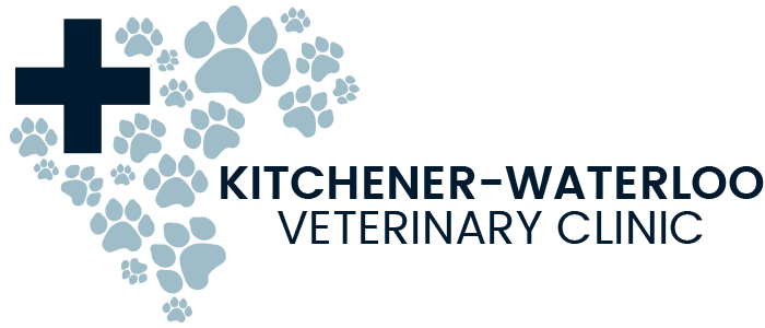 KW Veterinary Clinic