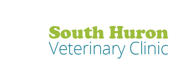 Logo for South Huron Veterinary Clinic Zurich, Ontario