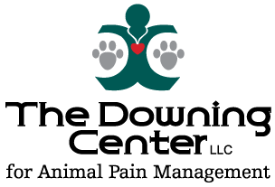 Logo for Pain center and rehabilitation center and animal hospital in Windsor | The Downing Center for Animal Pain Management