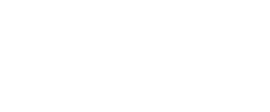 Logo for Veterinarians in The Plains | The Small Animal Clinic at Piedmont Equine