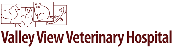 Logo for Valley View Veterinary Hospital in Saint Croix Falls, WI