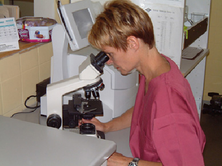 veterinary technician checking microscope