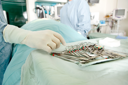 veterinarian performing surgery