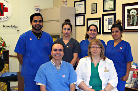 Staff and veterinarian photo at pet hospital