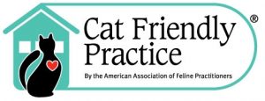 Cat-Friendly-Practice