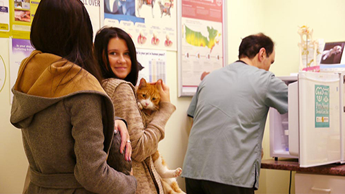 woman holding cat with veterinarian in back