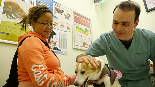 veterinary technician petting dog in exam room