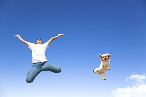 young man and dog jumping in the sky