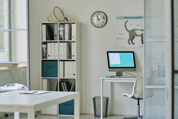 Modern empty vet office with workplace