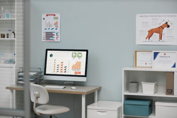 Workplace of vet expert with graphic information describing quantity of dogs most common breeds on screen of computer monitor