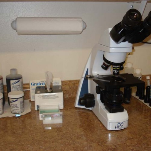 microscope and surgery supplies