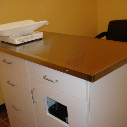 veterinary exam table with scale