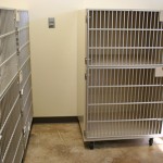 Boarding - Small Dog Kennels - White Oak Vet Hospital