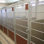 Boarding - Large Dog Kennels - White Oak Vet Hospital