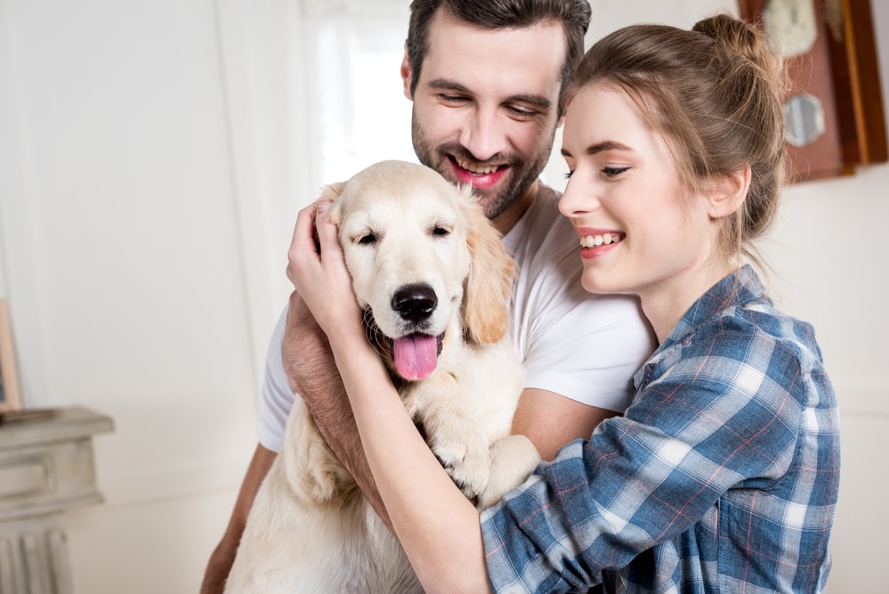 couple holding golden retriever dog