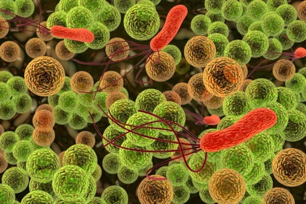 Colorful image of bacteria