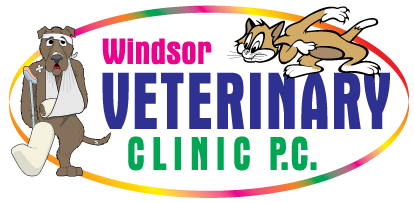 Logo for Animal Hospital in Windsor, CO | Windsor Veterinary Clinic PC